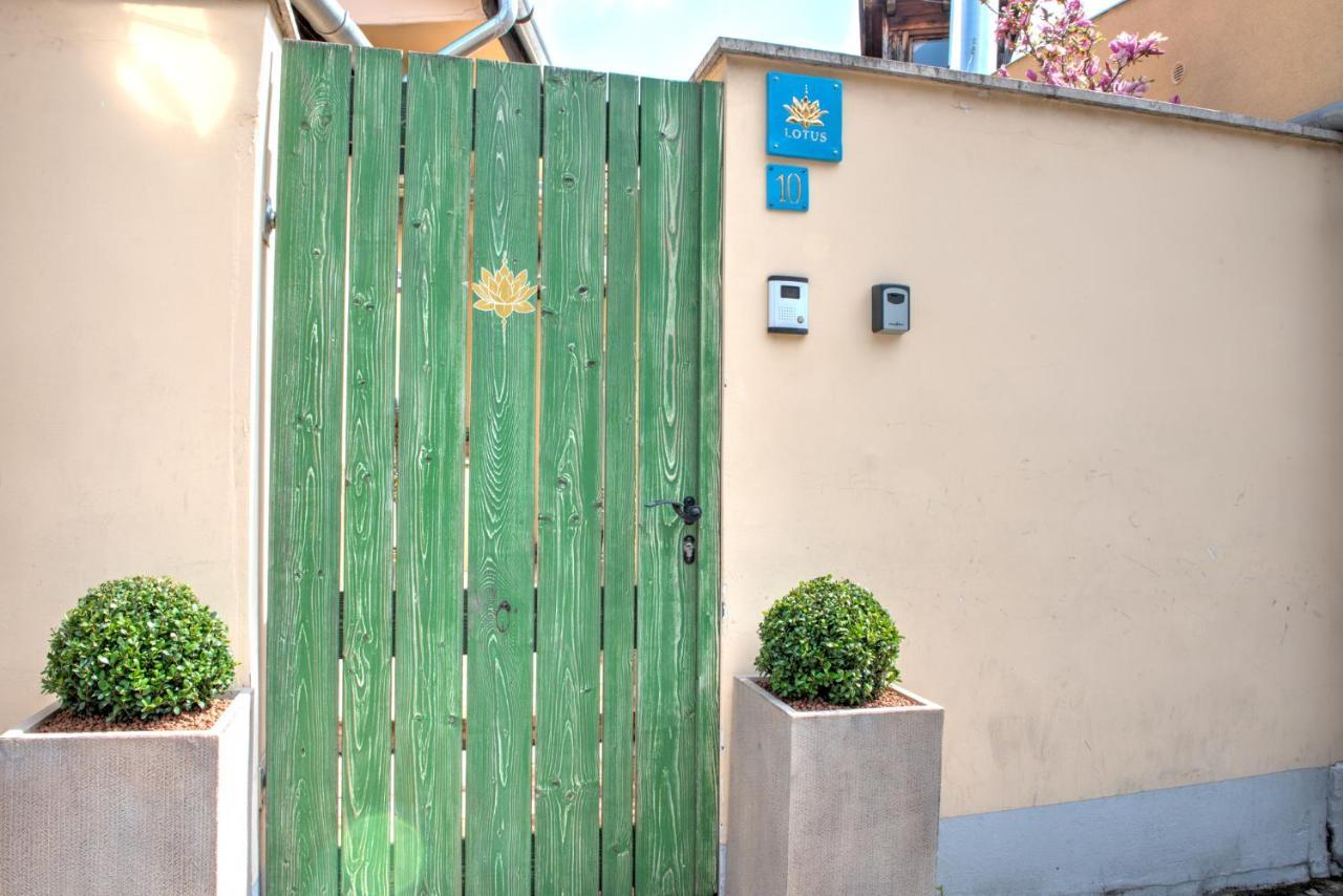 Lotus Apartment Szentendre Kültér fotó