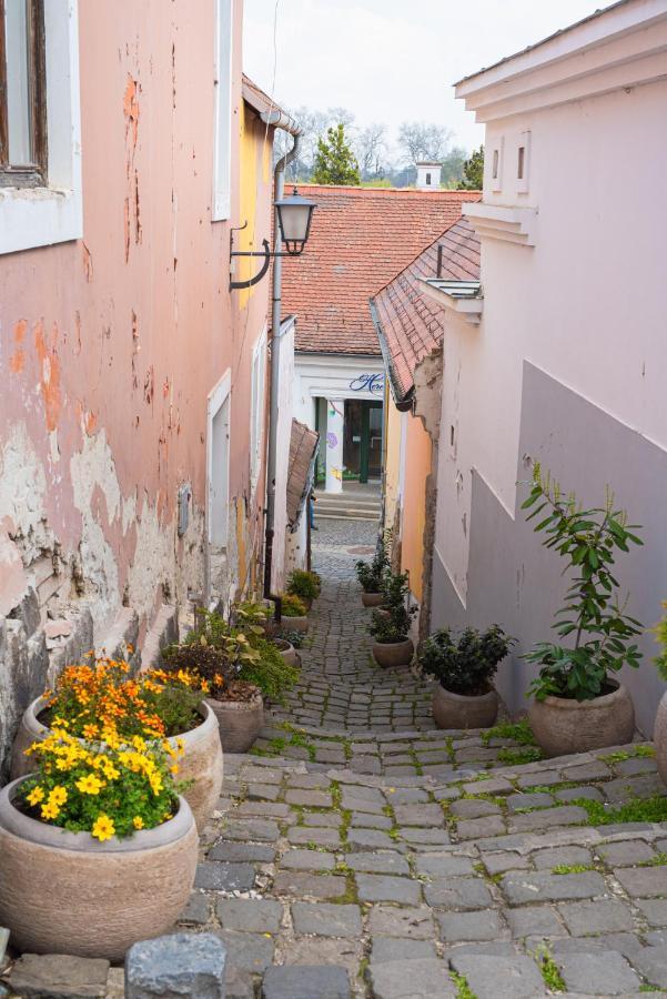 Lotus Apartment Szentendre Kültér fotó
